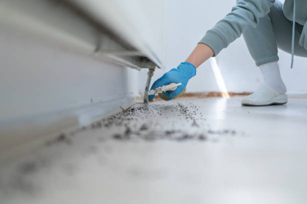 Best Affordable Pest Control Services  in Pine Ridge At Crestwood, NJ